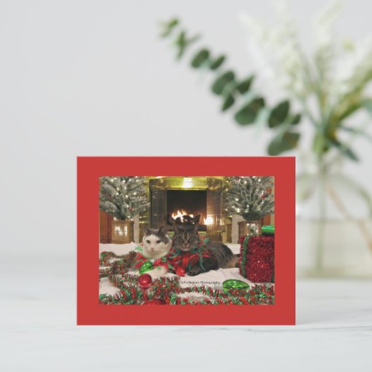 kerstkatten feestdagenkaart (Staand voorkant)