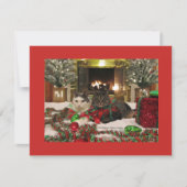 kerstkatten feestdagenkaart (Voorkant)