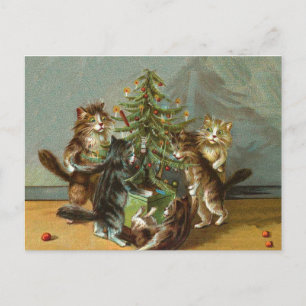 Kerstkatten Feestdagenkaart