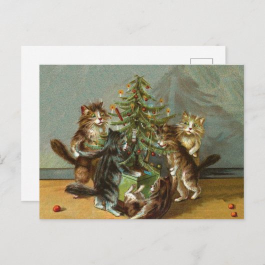 Kerstkatten Feestdagenkaart (Voorkant / Achterkant)