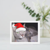 Kerstkatten Feestdagenkaart (Staand voorkant)