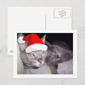 Kerstkatten Feestdagenkaart (Voorkant / Achterkant)