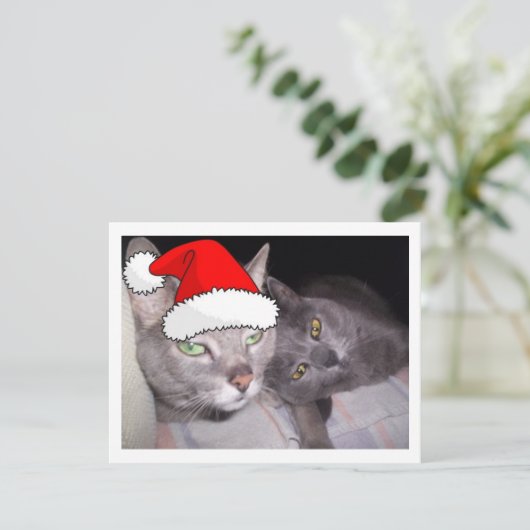 kerstkatten feestdagenkaart (Staand voorkant)