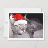 kerstkatten feestdagenkaart (Voorkant)