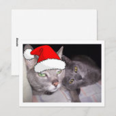 kerstkatten feestdagenkaart (Voorkant / Achterkant)