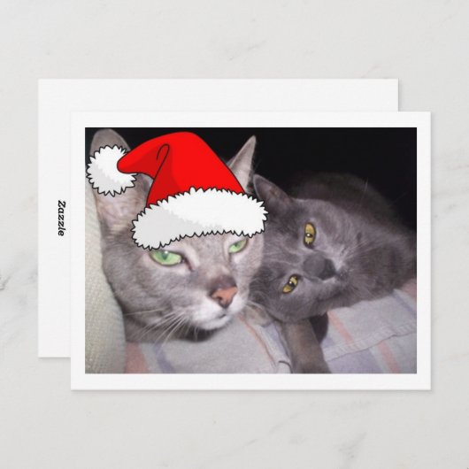 kerstkatten feestdagenkaart (Voorkant / Achterkant)