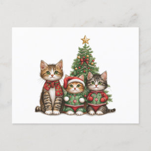 kerstkatten feestdagenkaart