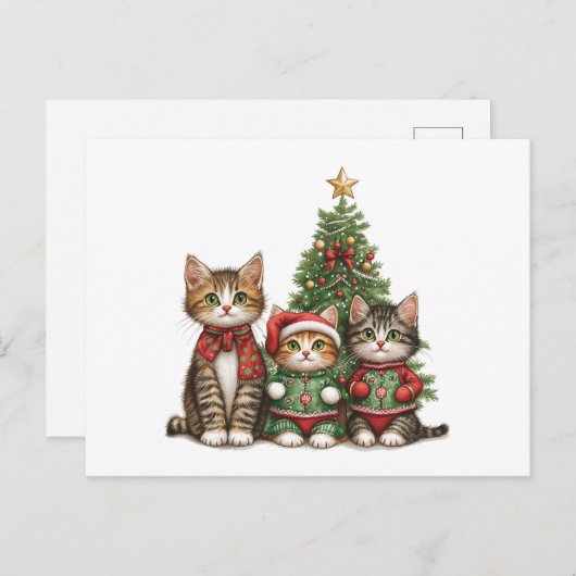 kerstkatten feestdagenkaart (Voorkant / Achterkant)