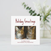 Kerstkatten Festive Red Typografie Feestdagenkaart (Staand voorkant)