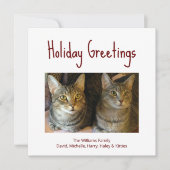 Kerstkatten Festive Red Typografie Feestdagenkaart (Voorkant)