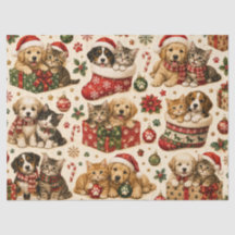 Kerstkatten & Honden Vakantiepatroon