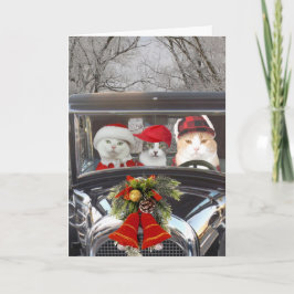 Kerstkatten in de auto feestdagen kaart