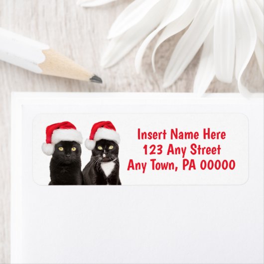 Kerstkatten in Santa Hats Etiket (Insitu)