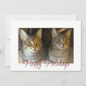 Kerstkatten klinken voor feestelijk rood feestdagenkaart (Voorkant)