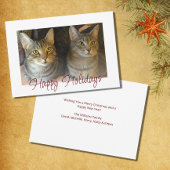 Kerstkatten klinken voor feestelijk rood feestdagenkaart