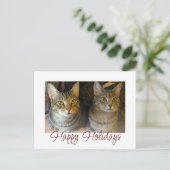 Kerstkatten Kutten Rood Manuscript Feestdagenkaart (Staand voorkant)