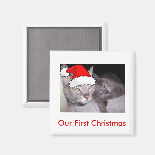 kerstkatten magneet (Voorkant / Achterkant)