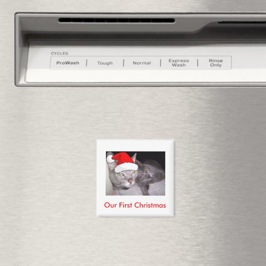 kerstkatten magneet (Insitu (Vaatwasser))