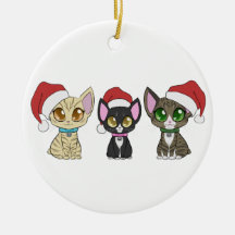 Kerstkatten Ornament!