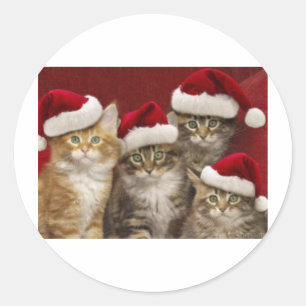 kerstkatten ronde sticker