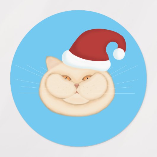 Kerstkatten Santa-kat Labels (Design 2)