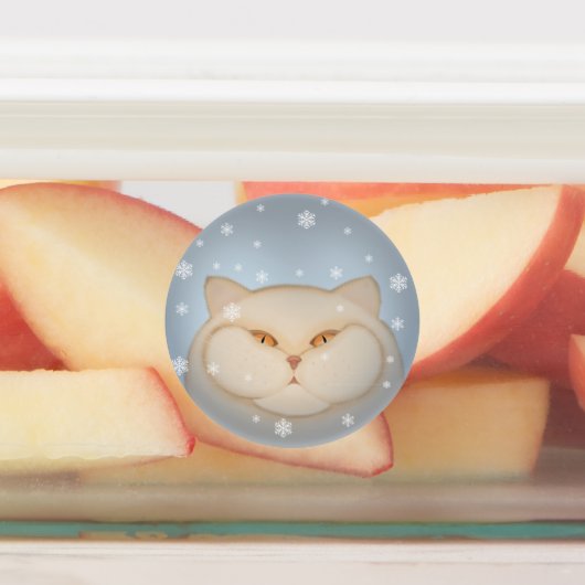 Kerstkatten Santa-kat Labels (Aangebracht)