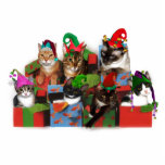 kerstkatten staand fotobeeldje<br><div class="desc">Zeven katten met elf petten!</div>