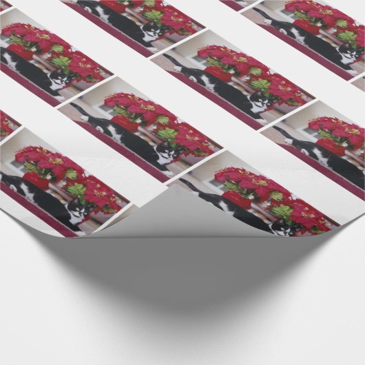 Kerstkattenpapier Cadeaupapier (Hoek)