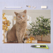kerstkattenpapier tissuepapier (Craft)