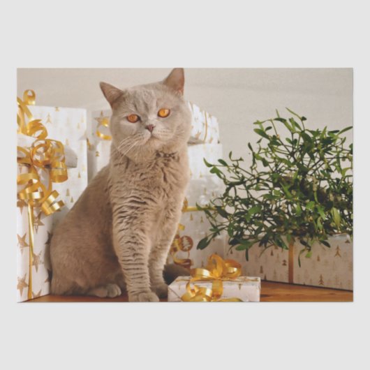 kerstkattenpapier tissuepapier (Voorkant)