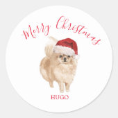 Kerstkerkerkerkerkerst van Santa Hat Dog Pomerania Ronde Sticker (Voorkant)
