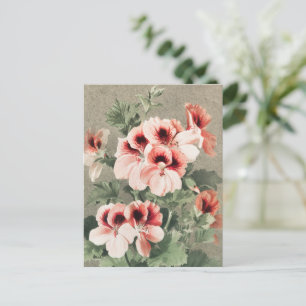 kerstkersbloesems feestdagenkaart