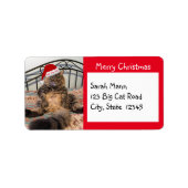 KerstkerstAdresetiketten voor kerstkerstmis met ke Etiket (Voorkant)