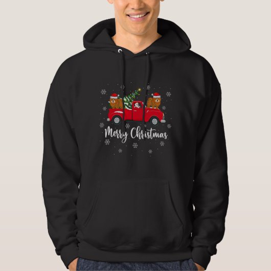 Kerstkerstboom met kerstboomvlieger Chow Dog Ch Hoodie (Voorkant)