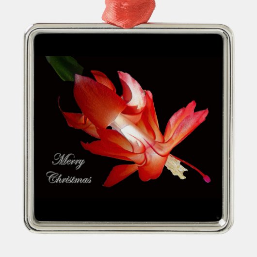 Kerstkerstkankerversiering Metalen Ornament (Voorkant)