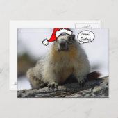 Kerstkerstkerstkerstkerstkersteekhoorn briefkaart (Voorkant / Achterkant)