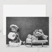 kerstkerstkerstkerstkerstkerstkerstkat met een ho feestdagenkaart (Voorkant / Achterkant)