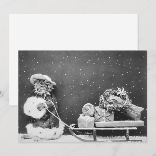  kerstkerstkerstkerstkerstkerstkerstkat met een ho feestdagenkaart (Voorkant / Achterkant)