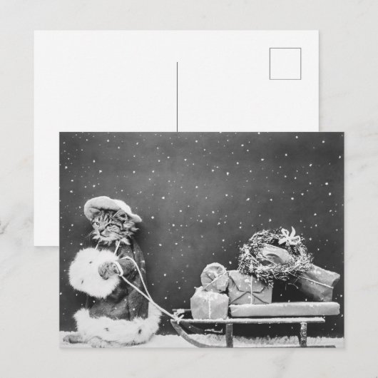  kerstkerstkerstkerstkerstkerstkerstkat met een ho feestdagenkaart (Voorkant / Achterkant)