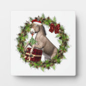 Kerstkerstkerstkerstkerstkerstkerstkerstkerstkerst Fotoplaat (Voorkant)