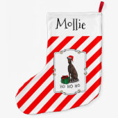 Kerstkerstkerstkerstkerstkerstkerstkerstkerstman G Grote Kerstsok (Achterkant)