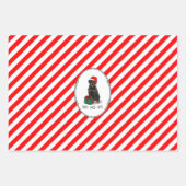 Kerstkerstkerstkerstkerstkerstkerstkerstman Pet Ro Inpakpapier Vel (Voorkant 2)