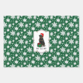 Kerstkerstkerstkerstkerstkerstkerstkerstman Pet Ro Inpakpapier Vel (Voorkant)