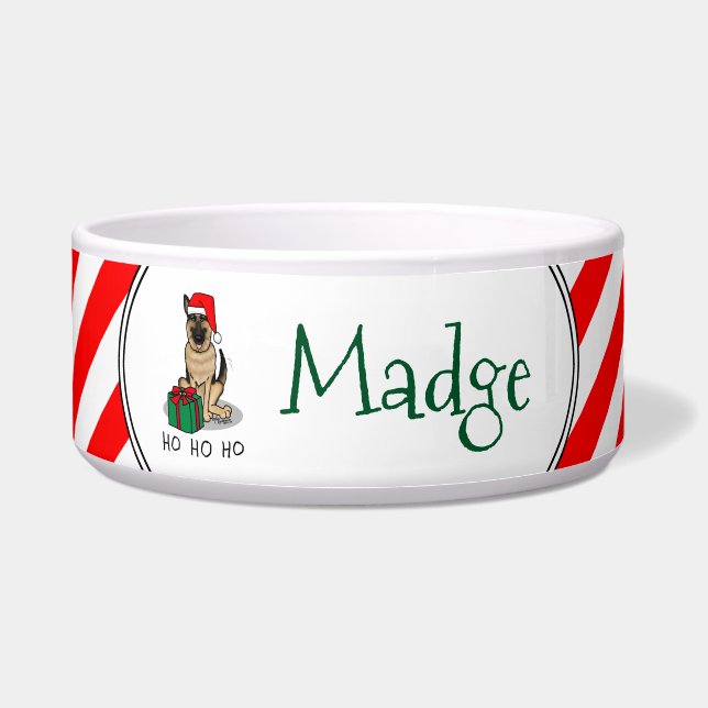 Kerstkerstkerstkerstkerstkerstkerstman met Duitse  Voerbakje (Voorkant)