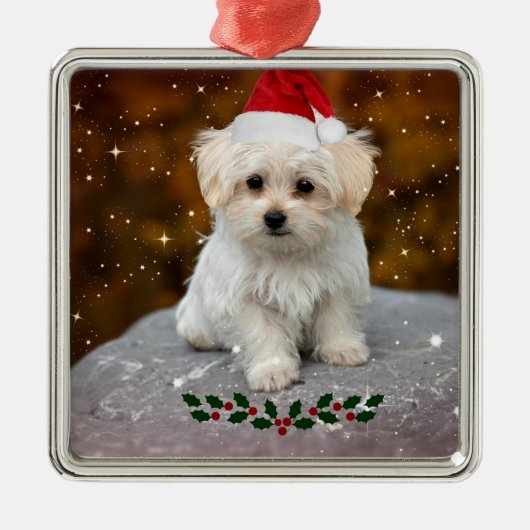 kerstkerstkerstkerstkerstkerstman Maltese puppy Metalen Ornament (Voorkant)