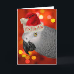 Kerstkerstkerstkerstkerstkerstmangrijze papegaai feestdagen kaart<br><div class="desc">Fun kerstkaart voor de papegaaiminnaar met een feestelijke rode en meerkleurige achtergrond en een schattige Afrikaanse grijze papegaai in een kersthoed.</div>