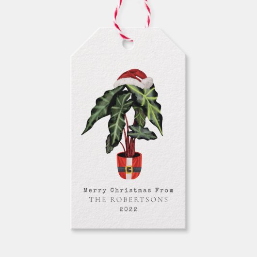 Kerstkerstkerstkerstkerstkerstmis met Plant Cadeaulabel (Voorkant)