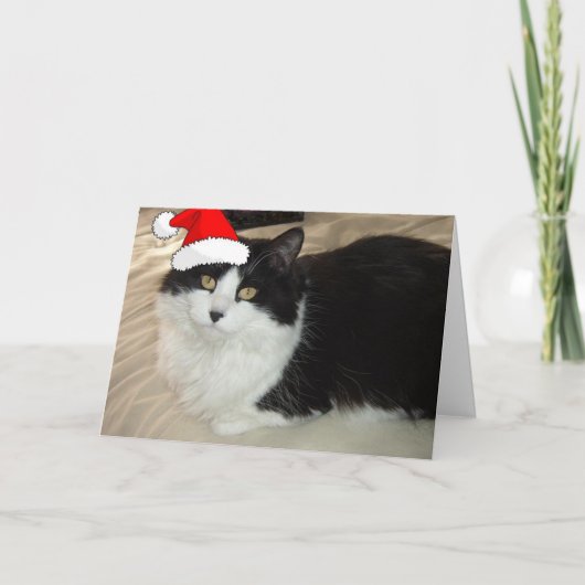 kerstkeukat feestdagen kaart (Voorkant)