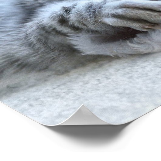 Kerstkeuten Poster (Hoek)