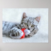 Kerstkeuten Poster (Voorkant)